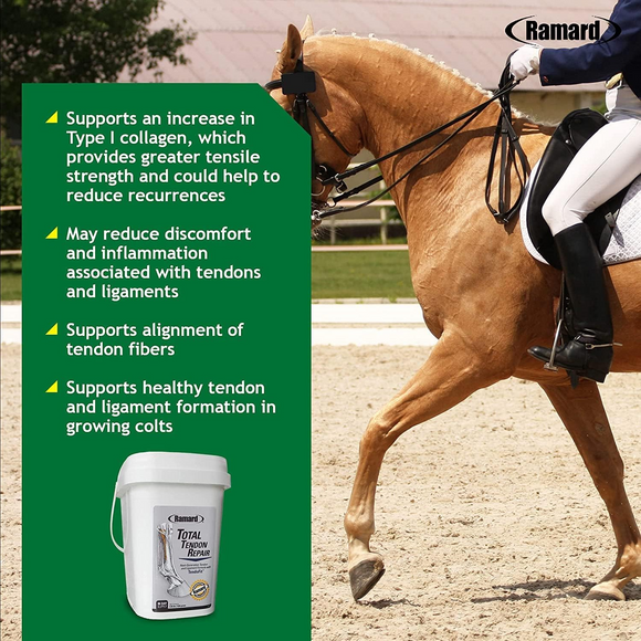 Ramard Total Tendon Repair Powder Horse Supplement (1.12 lb 30 Day Supply) - Horse Vitamins & Supplements 2