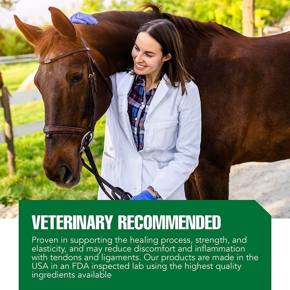 Ramard Total Tendon Repair Powder Horse Supplement (1.12 lb 30 Day Supply) - Horse Vitamins & Supplements 4