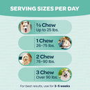 Ready Pet Go Seasonal Allergy Support for Dogs (60 soft chews)