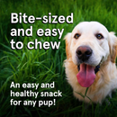 Real Meat All Natural Lamb Jerky Treats for Dogs - Dog Treats 7