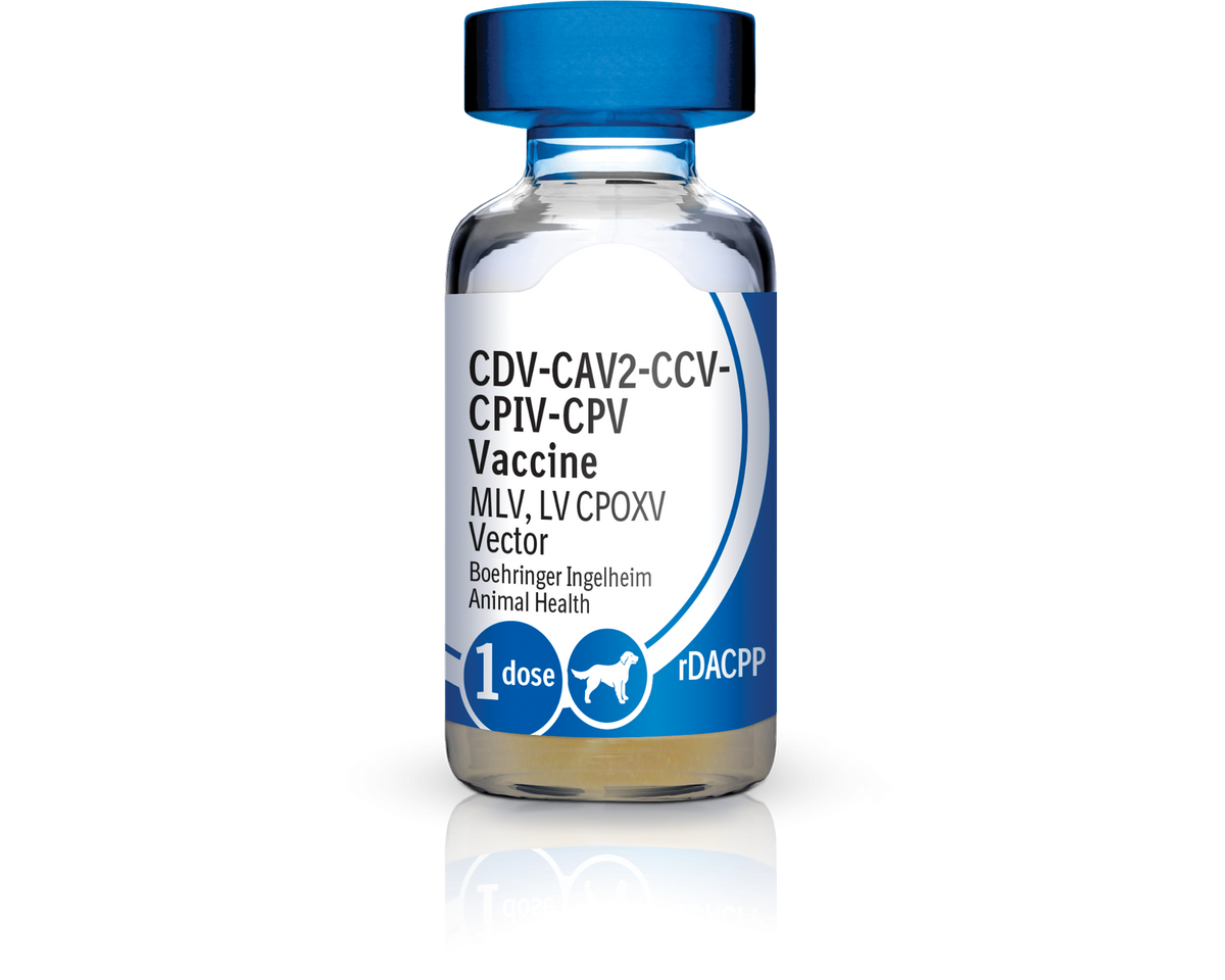 Recombitek C4/CV (rDAPPC) Vaccine 1 ml x 25 doses