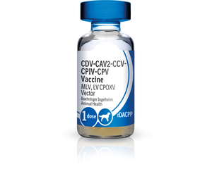 Recombitek C4/CV (rDAPPC) Vaccine