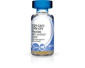 Recombitek C4 Vaccine (rDAPP)