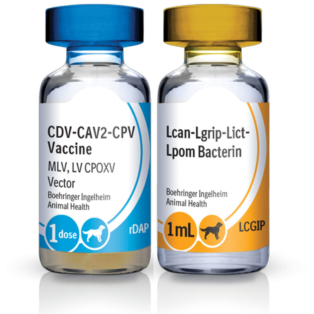Recombitek C7 (rDAP-LCGIP) vaccine for Dogs | Hardypaw