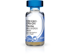 Recombitek C4 Vaccine (rDAPP)