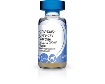 Recombitek C4 Vaccine (rDAPP)