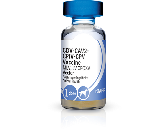 Recombitek C4 Vaccine (rDAPP)