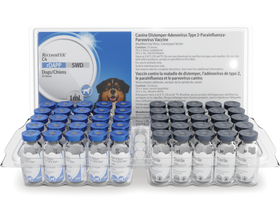 Recombitek C4 Vaccine (rDAPP)