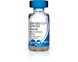 Recombitek C4/CV (rDAPPC) Vaccine
