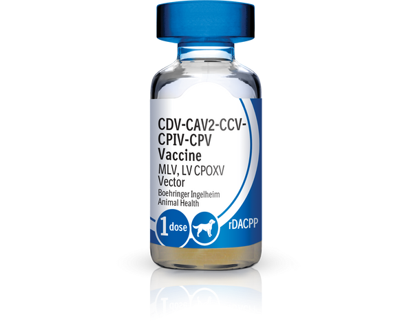 Recombitek C4/CV (rDAPPC) Vaccine