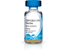 Recombitek C3 (rDAP) Vaccine