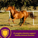 Red Cell Pellets Vitamin-Iron-Mineral Supplement for Horses (4 lb)