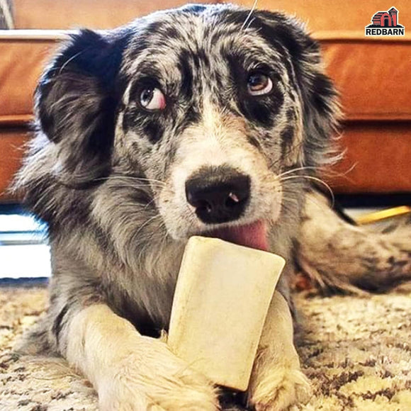 Redbarn Peanut Butter Filled Bone for Dogs (Peanut Butter)