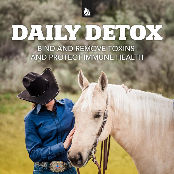 Redmond Daily Gold Natural Stress Relief for Horses - Horse Vitamins & Supplements 2