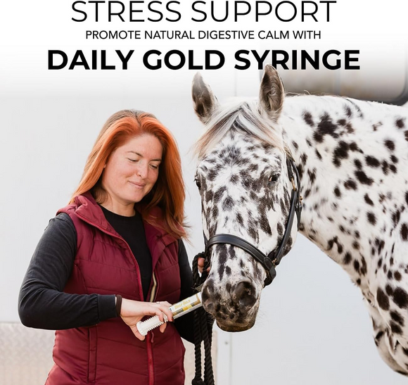 Redmond Daily Gold Stress Relief Natural Healing Clay for Gastric Ulcers for Horses - Horse Health & Wellness 4