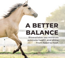 Redmond Daily Red Fortified Loose Mineral Salt for Horses (5 lb) - Horse Care 6
