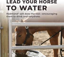 Redmond Daily Red Fortified Loose Mineral Salt for Horses (5 lb) - Horse Care 8