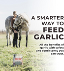 Redmond Rock Crushed Loose Mineral Salt with Garlic for Fly Tick & Insect Season (5 lb) - Horse Vitamins & Supplements 4