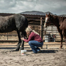Redmond Red Edge Natural Soothing Clay Poultice Supplement For Horse (8.5 lb)