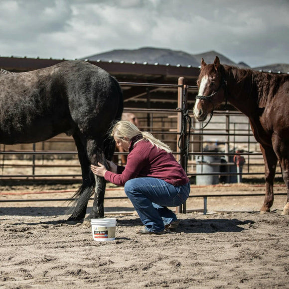 Redmond Red Edge Natural Soothing Clay Poultice Supplement For Horse (8.5 lb)
