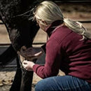Redmond Red Edge Natural Soothing Clay Poultice Supplement For Horse (8.5 lb)