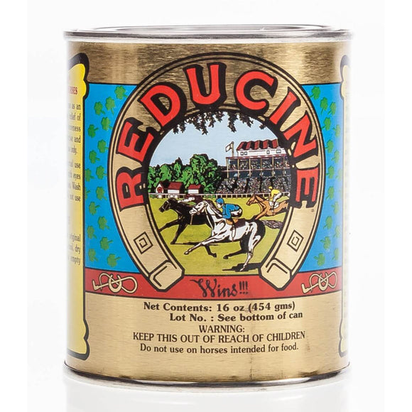 Reducine Absorbent for Horses (16 oz) - Horse Grooming 1