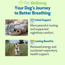 Respir-Gold - For Easy Breathing in Dogs (2 oz) - Dog Supplements & Vitamins 10