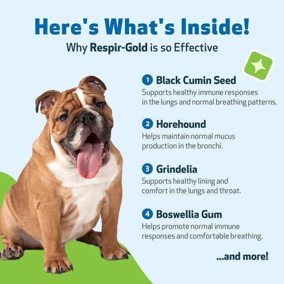 Respir-Gold - For Easy Breathing in Dogs (2 oz) - Dog Supplements & Vitamins 11