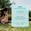 Revolution Topical Solution for Dogs - Pet Medicine 3