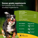 Rooted Owl Natural Blood Support Supplement for Dogs & Cats (60 capsules) - Pets Vitamins & Supplements 2