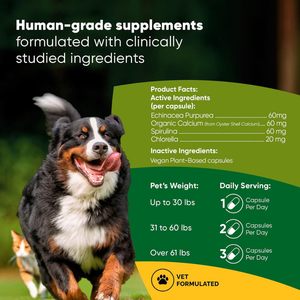 Rooted Owl Natural Blood Support Supplement for Dogs & Cats (60 capsules) - Pets Vitamins & Supplements 2