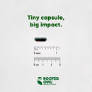 Rooted Owl Natural Blood Support Supplement for Dogs & Cats (60 capsules) - Pets Vitamins & Supplements 5