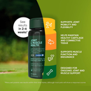 Rooted Owl Natural Blood Support Supplement for Dogs & Cats (60 capsules) - Pets Vitamins & Supplements 3
