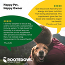 Rooted Owl Natural Blood Support Supplement for Dogs & Cats (60 capsules) - Pets Vitamins & Supplements 7