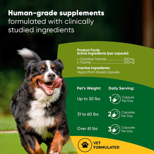 Rooted Owl Natural Cardio Support Supplement for Dogs (60 capsules) - Pets Vitamins & Supplements 2