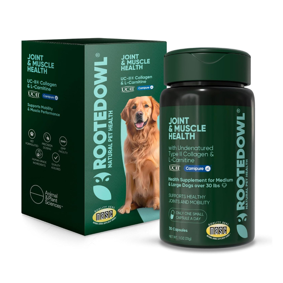 Rooted Owl Natural Joint & Muscle Health Supplement (30 capsules) - Medium & Large Dogs - Pets Vitamins & Supplements 10