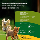 Rooted Owl Natural Joint & Muscle Health Supplement (30 capsules) - Pets Vitamins & Supplements 3