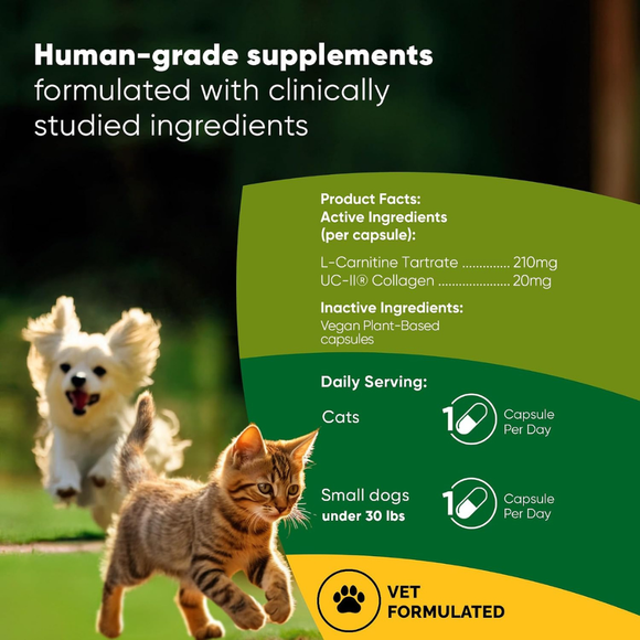 Rooted Owl Natural Joint & Muscle Health Supplement (30 capsules) - Pets Vitamins & Supplements 3