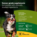 Rooted Owl Natural Joint & Muscle Health Supplement (30 capsules) - Pets Vitamins & Supplements 11