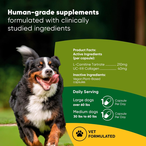 Rooted Owl Natural Joint & Muscle Health Supplement (30 capsules) - Pets Vitamins & Supplements 11
