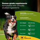 Rooted Owl Natural Liver Support Supplement for Dogs (60 capsules) - Pets Vitamins & Supplements 2