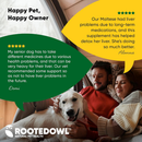 Rooted Owl Natural Liver Support Supplement for Dogs (60 capsules) - Pets Vitamins & Supplements 7