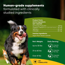 Rooted Owl Natural Mushroom Immune Support Supplement for Dogs & Cats (60 capsules) - Pets Vitamins & Supplements 2