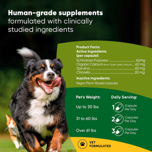 Rooted Owl Natural Mushroom Immune Support Supplement for Dogs & Cats (60 capsules) - Pets Vitamins & Supplements 2