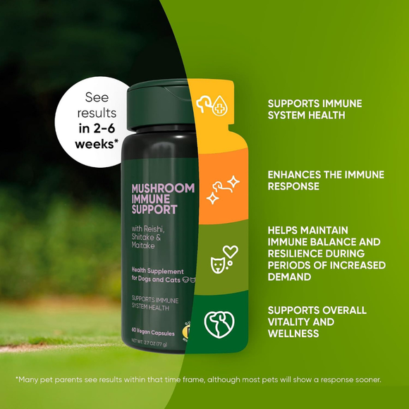 Rooted Owl Natural Mushroom Immune Support Supplement for Dogs & Cats (60 capsules) - Pets Vitamins & Supplements 3