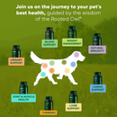 Rooted Owl Natural Tumeric Supplement for Dogs & Cats (60 capsules) - Pets Vitamins & Supplements 8