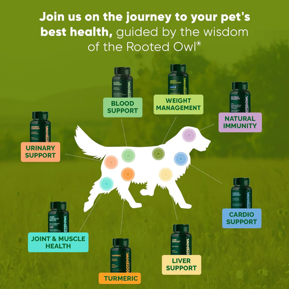 Rooted Owl Natural Tumeric Supplement for Dogs & Cats (60 capsules) - Pets Vitamins & Supplements 8
