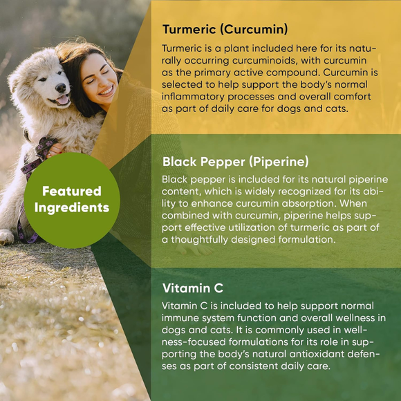 Rooted Owl Natural Tumeric Supplement for Dogs & Cats (60 capsules) - Pets Vitamins & Supplements 4