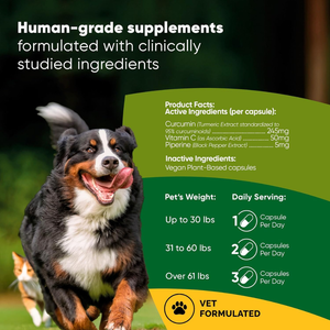Rooted Owl Natural Tumeric Supplement for Dogs & Cats (60 capsules) - Pets Vitamins & Supplements 2