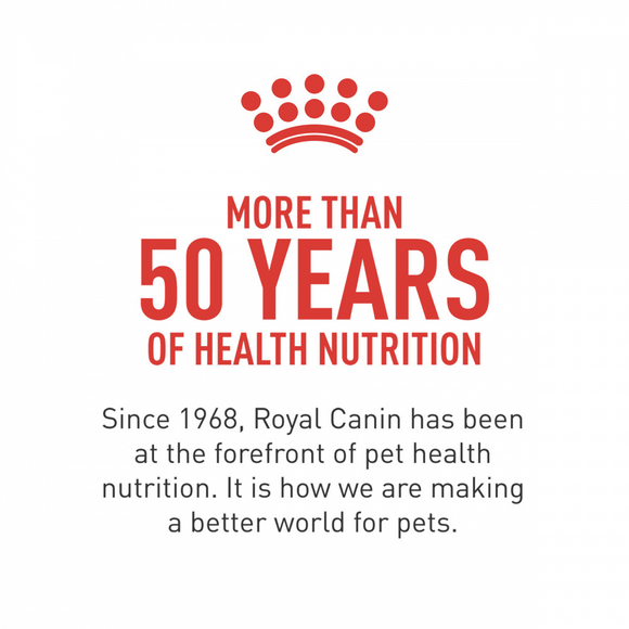 Royal Canin Breed Health Nutrition Yorkshire Terrier Adult Dry Dog Food